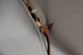 Universal Geneve-Outdoorsman-10743-cal 263-1945-18k gold