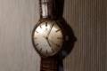 Omega-Geneve-131.021-cal601-1970